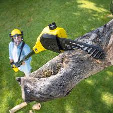 Soil Testing and Treatment in Clifton, TX