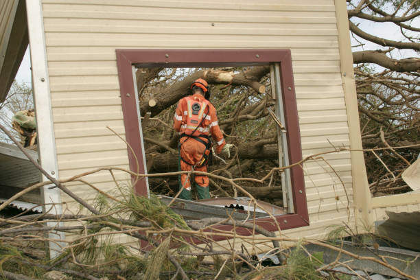 Best Root Management and Removal  in Clifton, TX